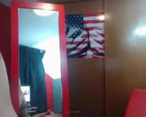 Harige kut voor webcam met dildo geneukt