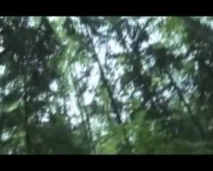 Bucketlist afgestreept: sex in de jungle